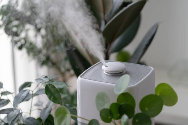 humidificateur d'air qualité de l'air confort maison