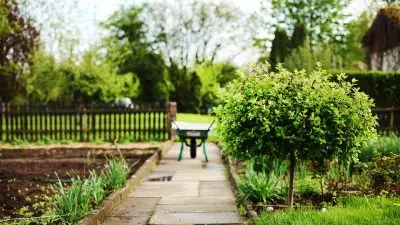 Comment choisir vos plots de terrasse ?