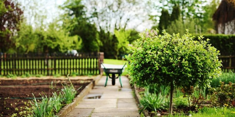 Comment choisir vos plots de terrasse ?